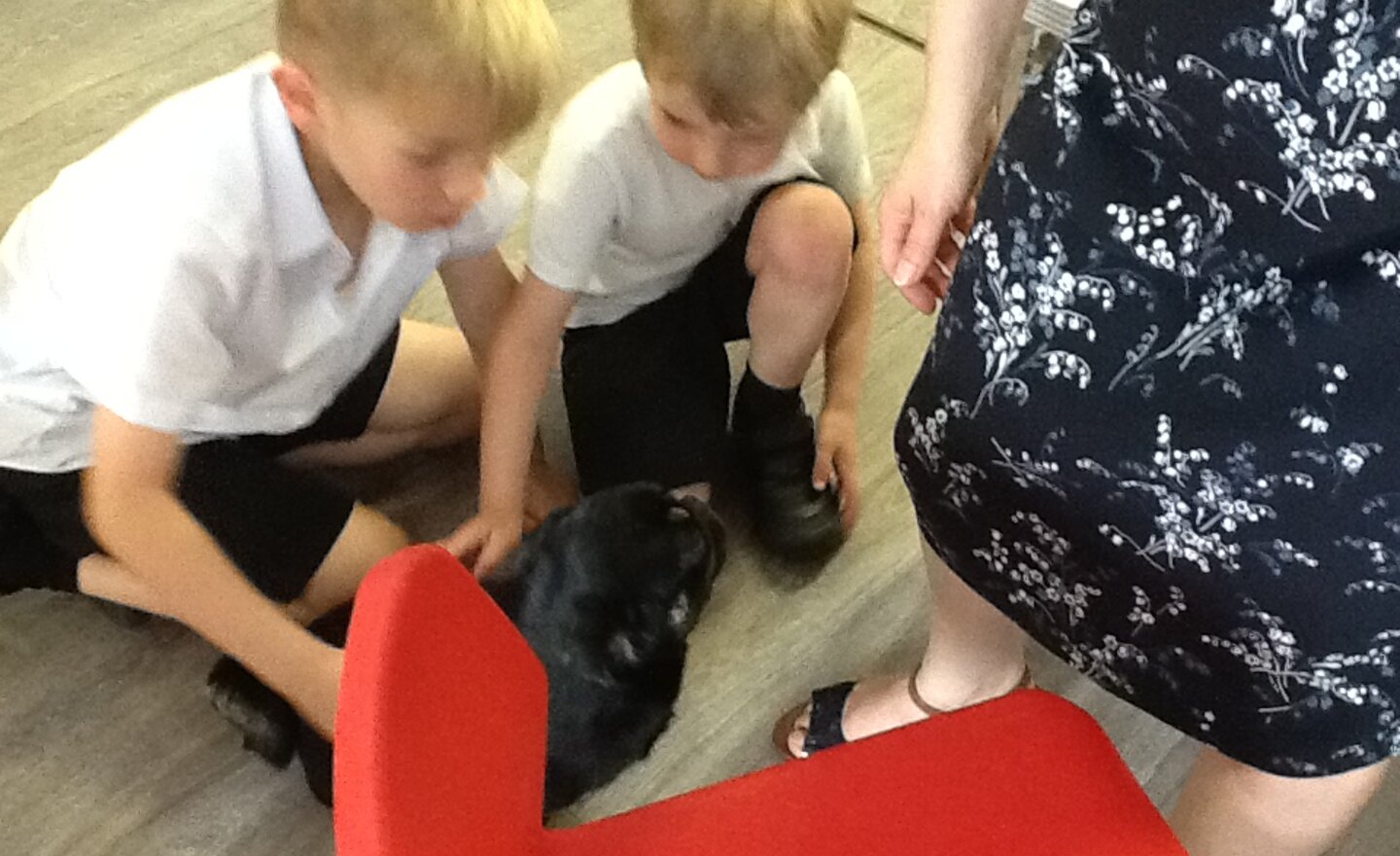 Image of Autumn 1 - Week 2